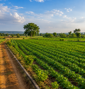 Agricultural Land
